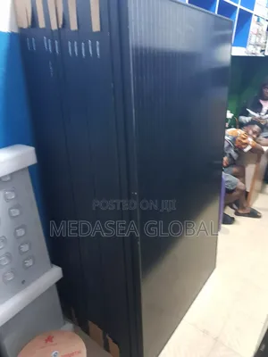 Longi Solar Panel