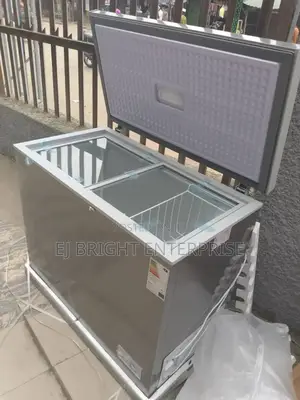 Lg Chest Freezer Wit Glass Cover Bd-250
