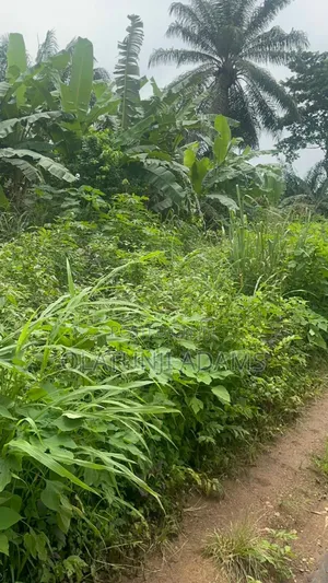 100acres of Farmland at Igisidi via Ikire/Apomun