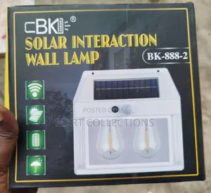 Double Head Solar Security Light/Solar Motion Sensor Light
