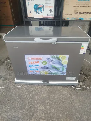 Snowsea Low Voltage Chest Deep Freezer 250 L Made in Korea