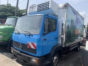Foriegn Used Mercedes Benz Cooling Truck
