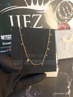 Photo - Ijez Steel Dainty Necklace