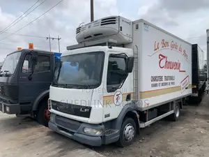 Foriegn Used Daf Cooling Truck for Sale