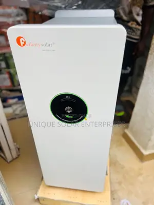 High Performance Solar Lithium Batteries