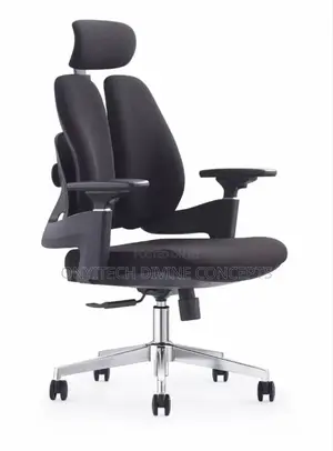 Ergonomic Office Swivel Chair Gray and Black