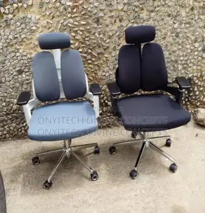 Ergonomic Office Swivel Chair Gray and Black