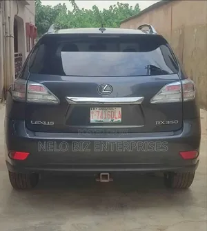 Lexus RX 2010 Gray