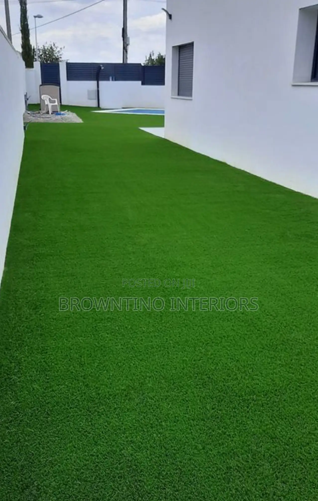 Turf Grass