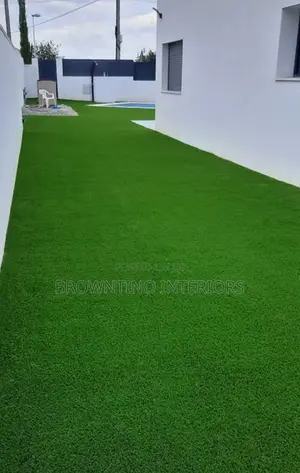 Turf Grass