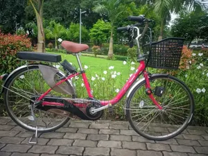 Top Bicycle