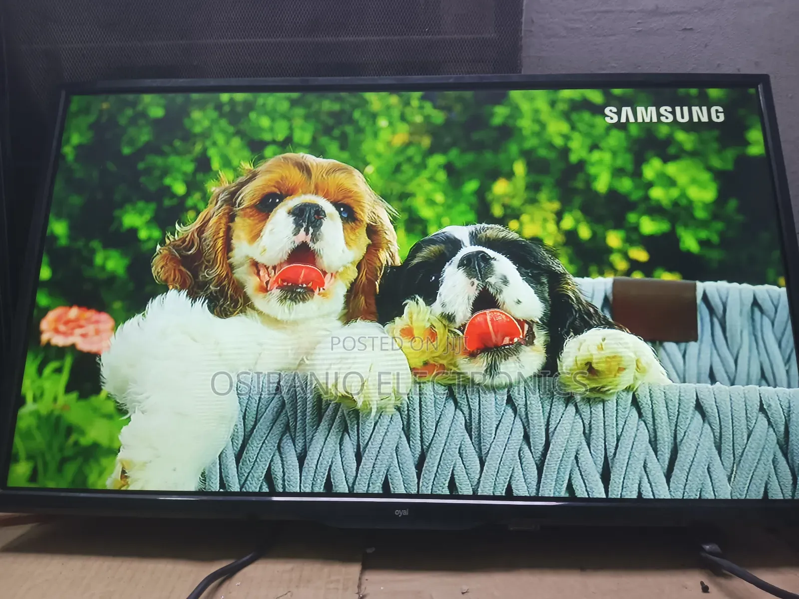 Tv Maintenance Service