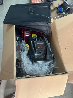 5.4hp Original Landmower Engine
