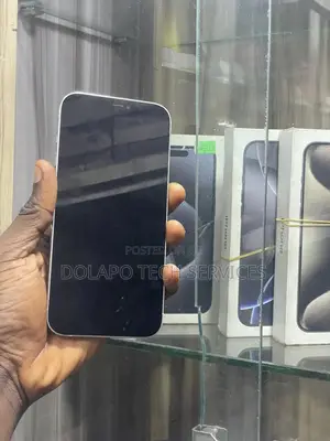 Apple iPhone 12 Pro Max 128 GB Silver