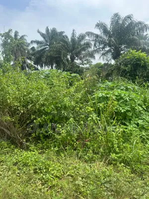 100acres of Farmland at Igisidi via Ikire/Apomun