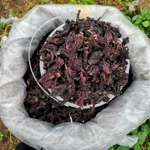 Zobo Leaf / Hibiscus Flower / Hibiscus Tea - 1 Custard Paint