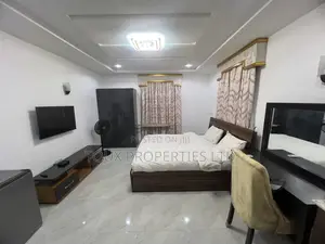 Furnished Studio Apartment in Garki 2 for rent
