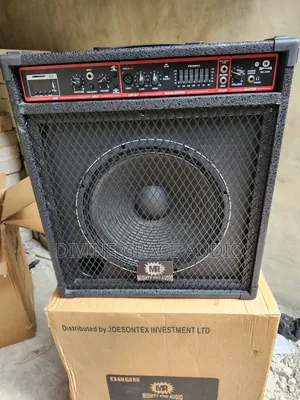 Bass Guitar Combo Might Pro Audio