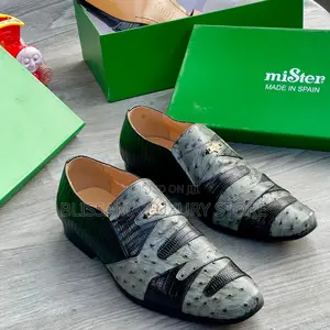Mister Premium Luxury Quality Shoes