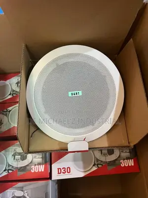 Dart Celling Speaker 30watts