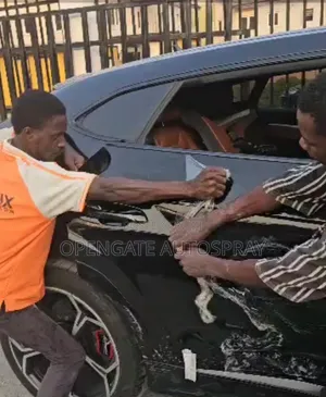 Vinyl Wrapping/ Paint Protection