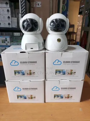 Cloud Storage Intelligent Camera