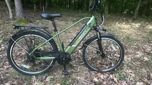 Top Electric Bicycle