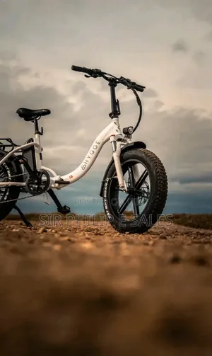 Top Electric Bicycle