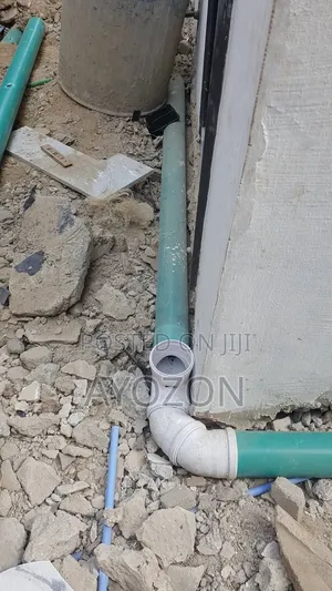 The Professional Plumber