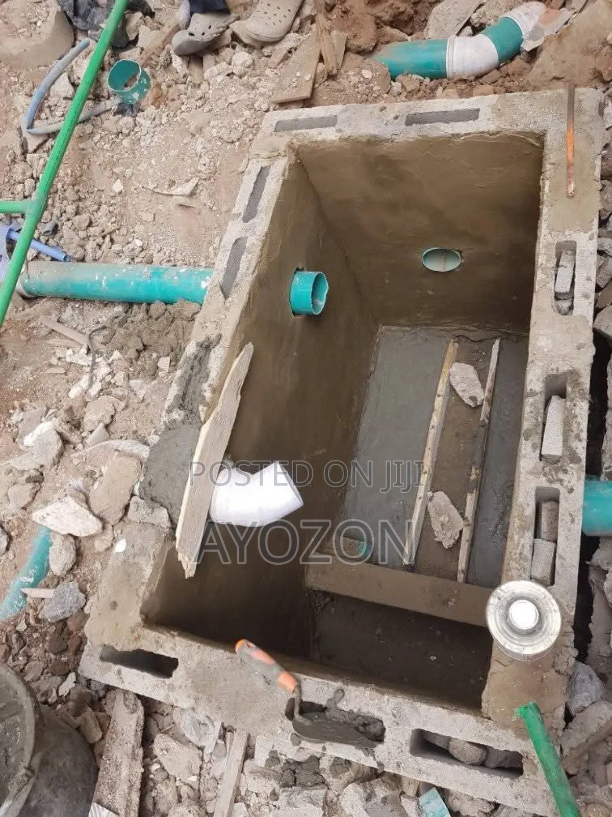 The Professional Plumber