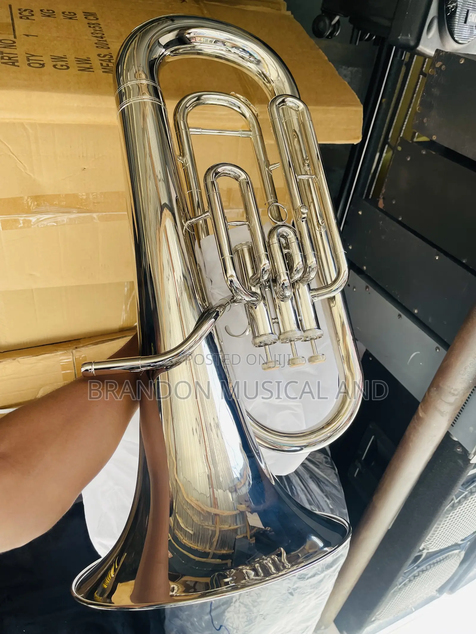 Euphonium Yamaha Professional