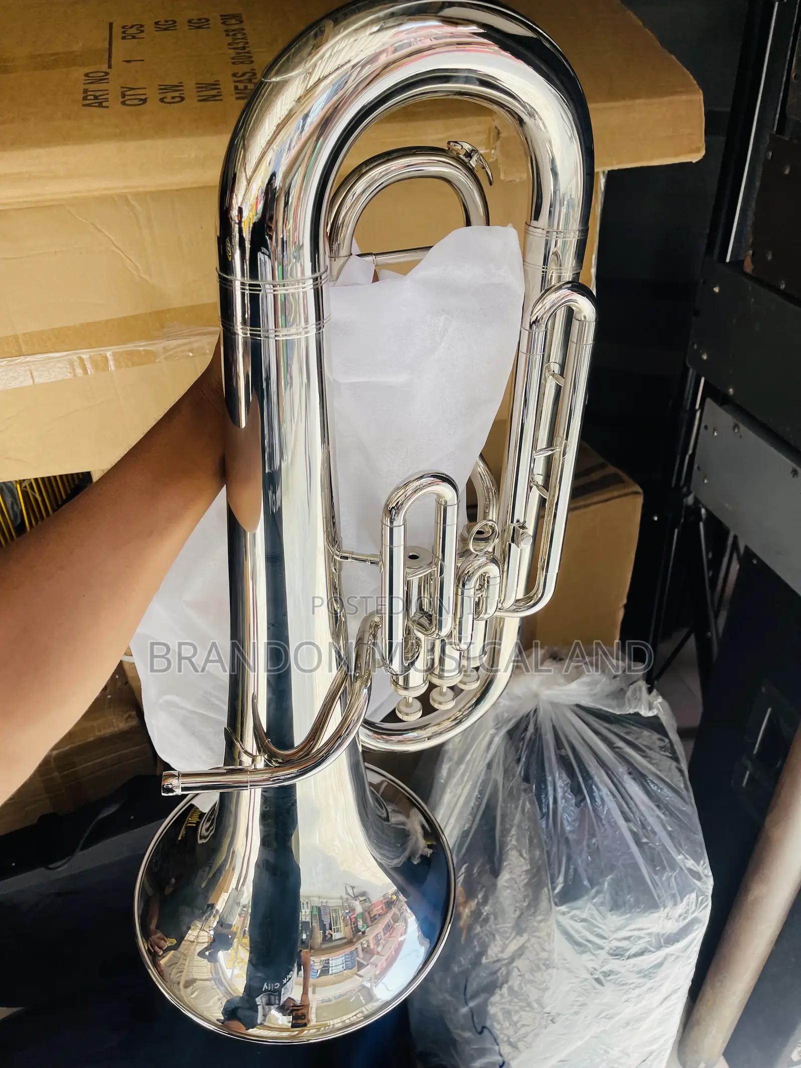 Euphonium Yamaha Professional