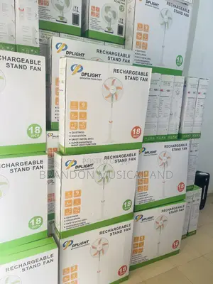 Rechargeable Standing Fan