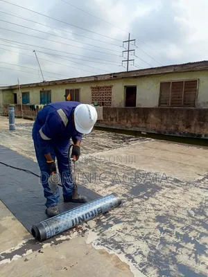 Hedonistic Waterproofing Expert