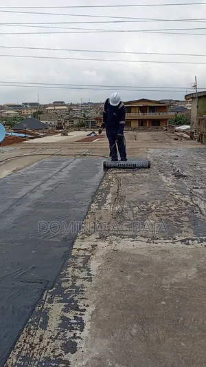 Clairvoyant Waterproofing Expert