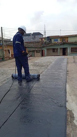 Clairvoyant Waterproofing Expert