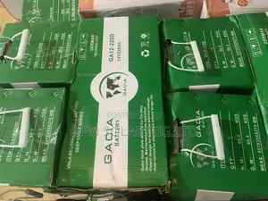 220ahs 12v Dry Cell Battery