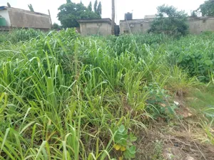 Properties in Ikotun