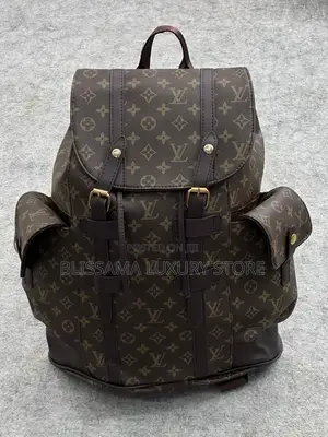Quality Louis Vuitton/Coach Bag Packs
