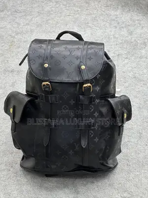Quality Louis Vuitton/Coach Bag Packs