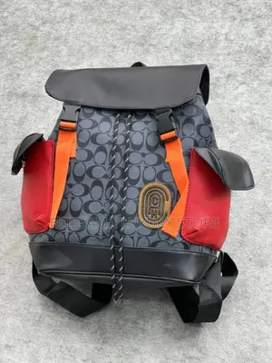 Quality Louis Vuitton/Coach Bag Packs