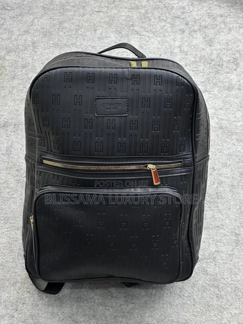 Quality Louis Vuitton/Coach Bag Packs
