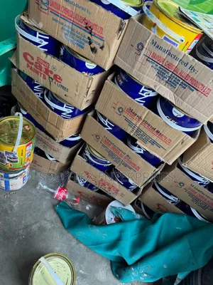 4l Care Durable And Quality Gloss Paint