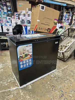 Nexus Freezer Nx265 210 L Silver