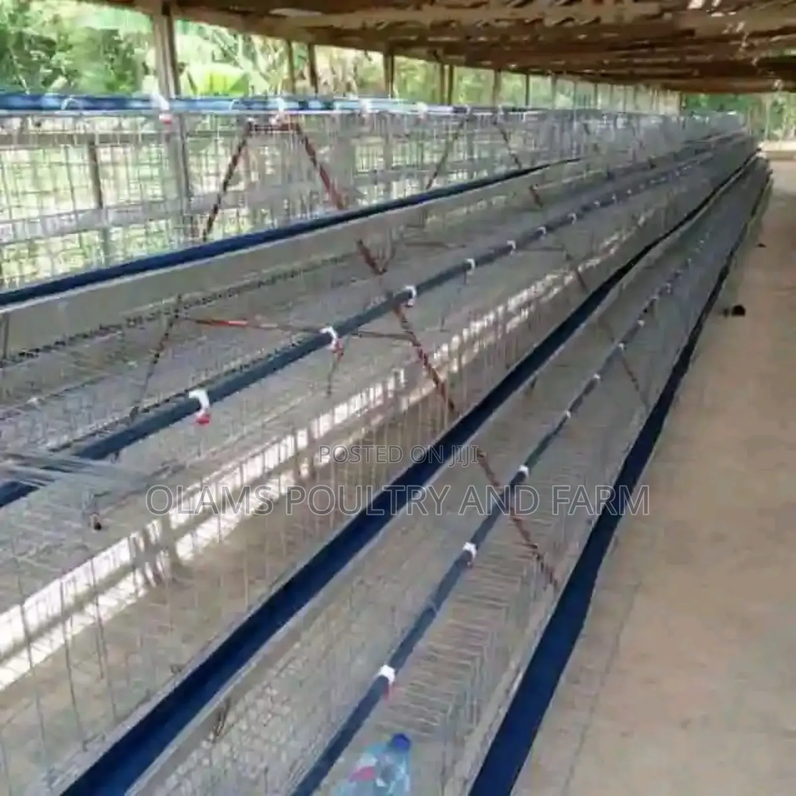 Battery Cage