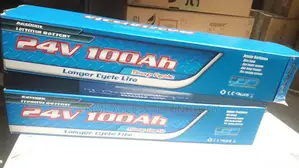 High Quality 24v LGP Lithium Life Po4 Battery