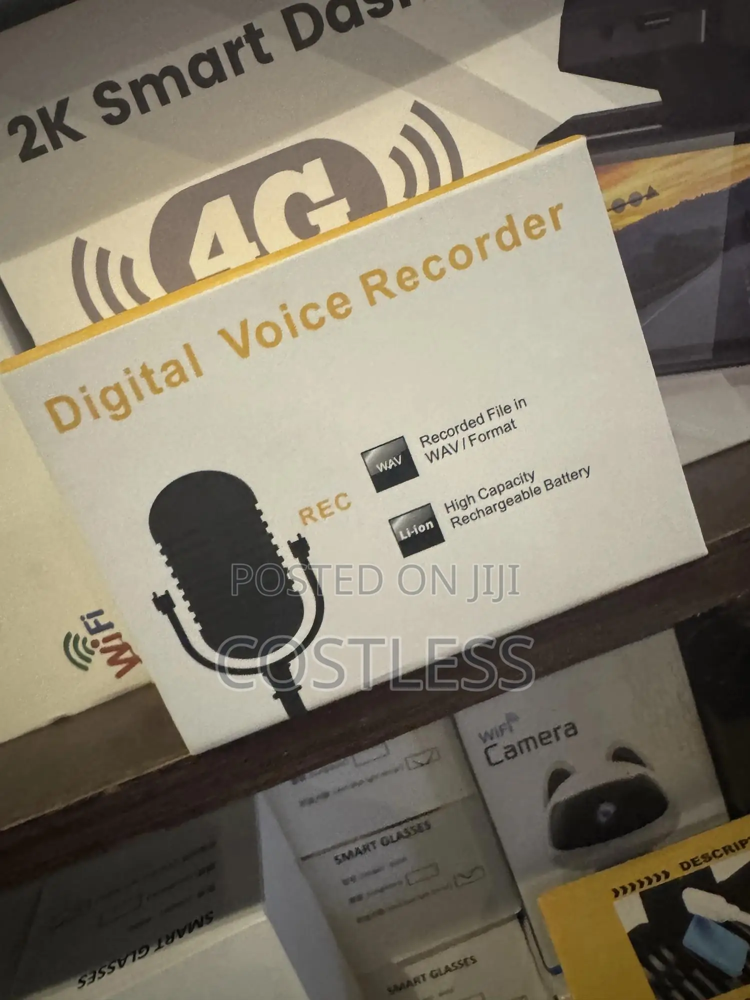 Professional Voice Recorder