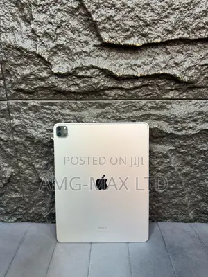 Apple iPad Pro 12.9 (2021) 512 GB Gray