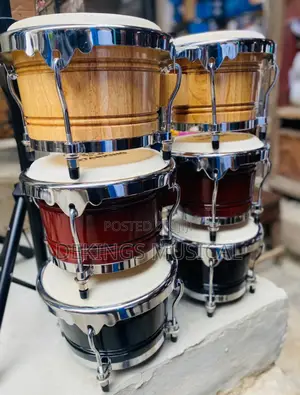 High Graded Big Bongo With Stand