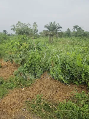 Residential Land at Guzape Main